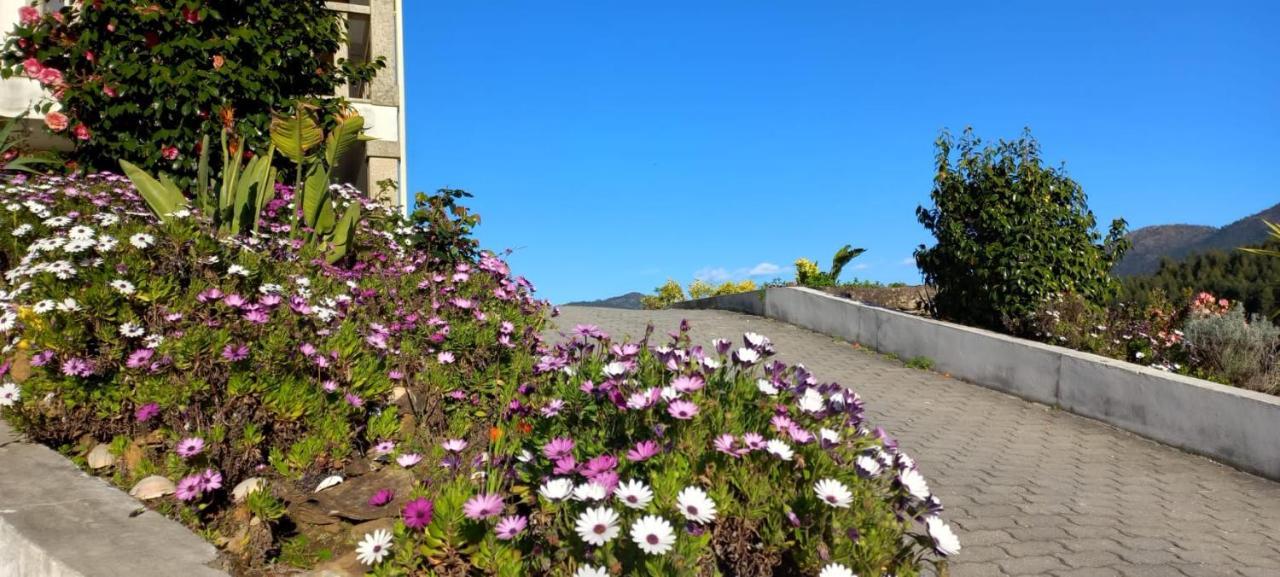 Cerdeirinhas De Basto "Piso Q 4" Appartement Canedo de Basto Buitenkant foto